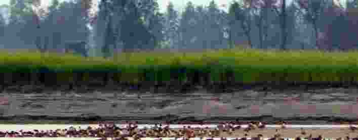 paharo par baarish