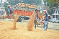 panipat, matlauda, raice, buy, system, fail