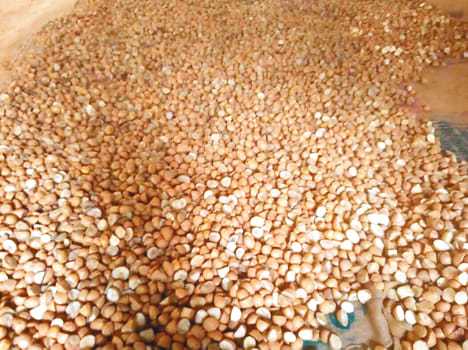 Have had a million metric tons of potatoes in cold store