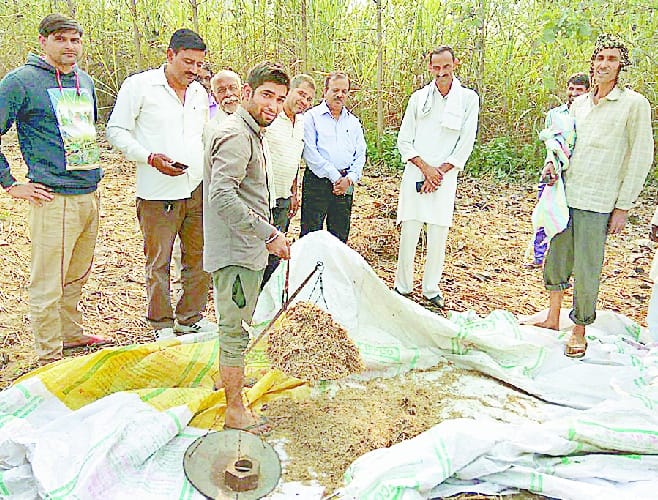 Turned in a mere two and a half kilos of paddy bigha