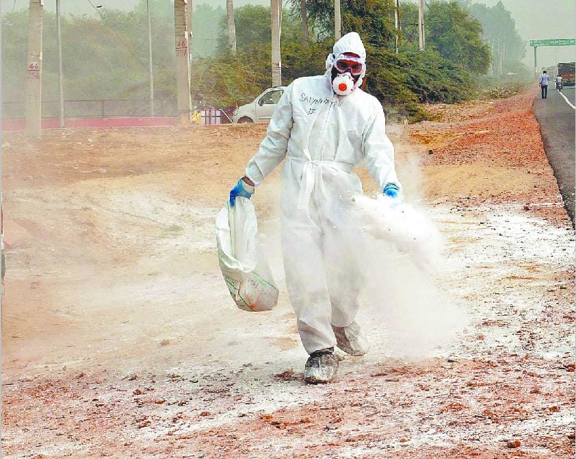 bird flu, blue bird hisar, combing operation at blue bird, Hisar
