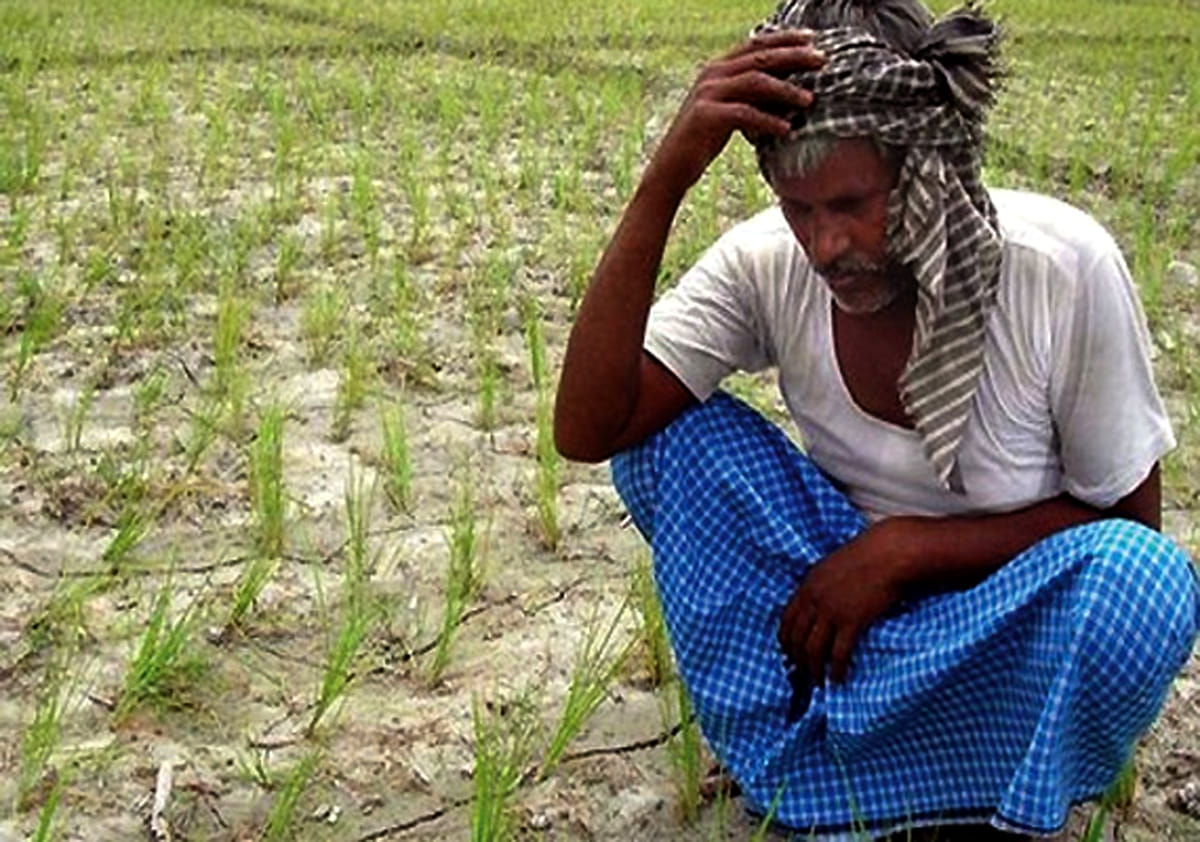gaming with farmers on subsidy   
