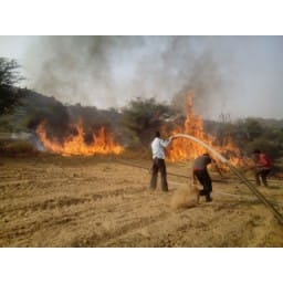 mountain, forest, fire, firebigrade, villgers, 