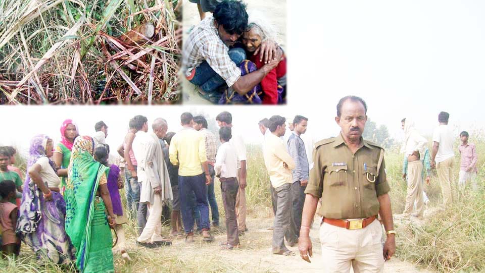 grisly murder of elderly farmer