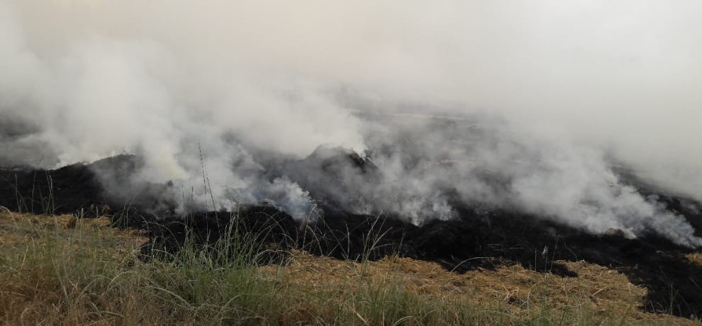 plan to stop to parali fire by settalite