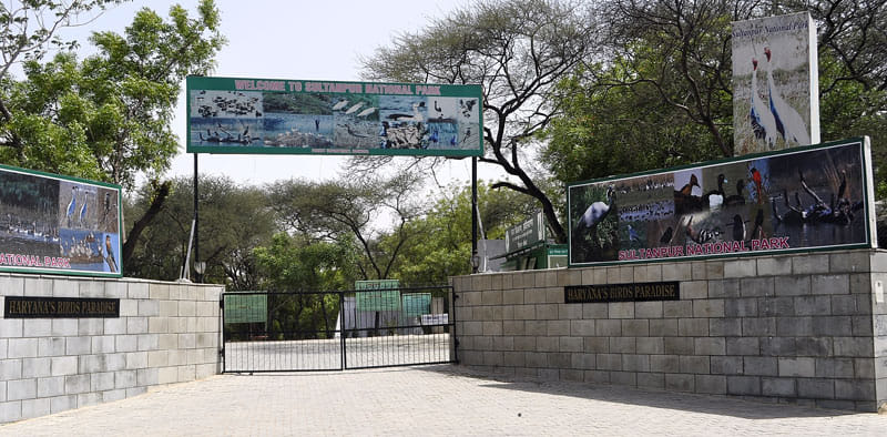 sultanpur bird sanctuary closed due to bird flu