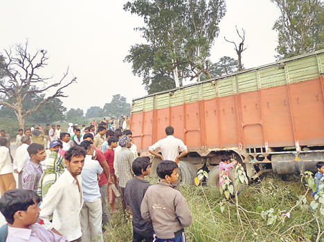 Its progeny laden truck overturned in the ditch, five cattle dead