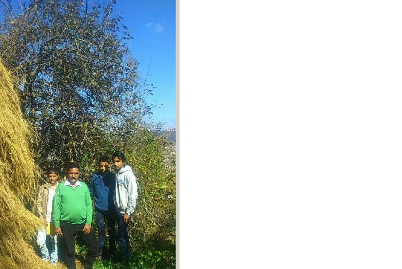 Climate change, decreasing apple production