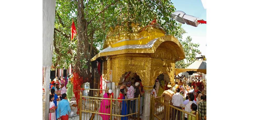 govt will take action against officers of chintpurni temple