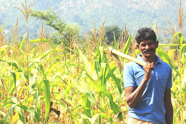 start preparing crop sowing with winter
