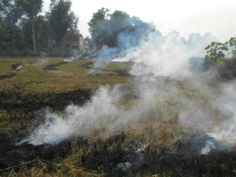  these state covered with smog whole winter season