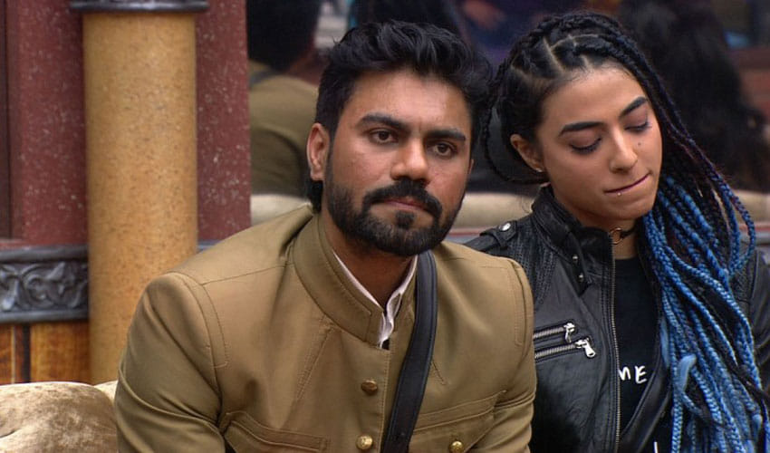 gourav bleeched his eyebrows to save bani
