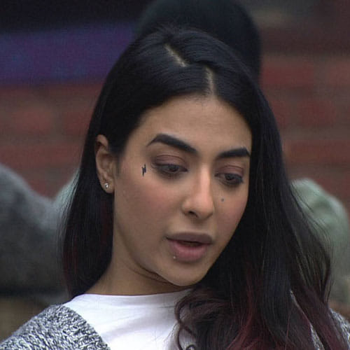gourav bleeched his eyebrows to save bani