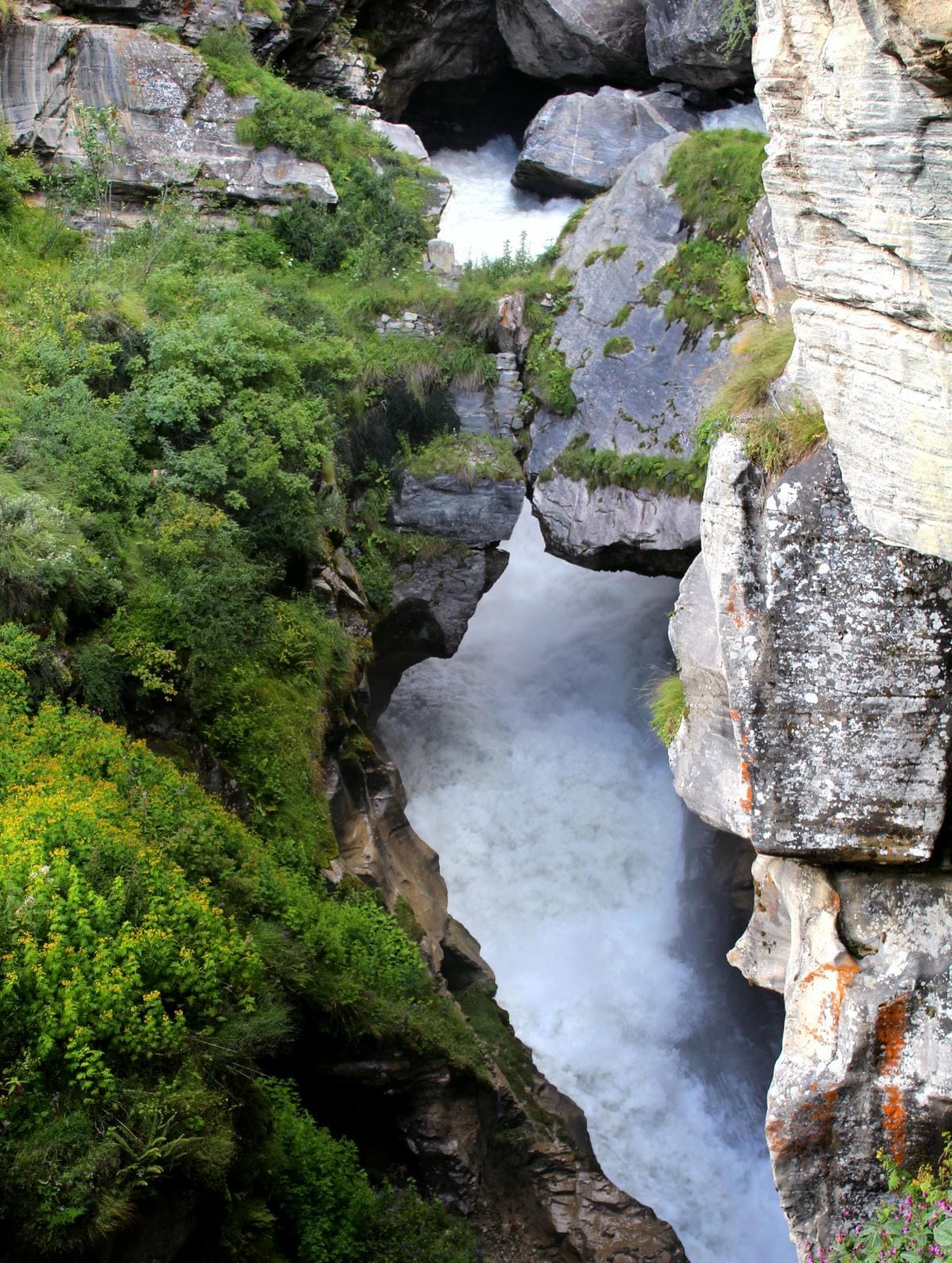 face reflects on saraswati river