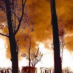  Surgical Strike will be on forest fire