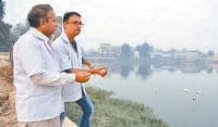 bird flue, alert, sample collected, kaithal