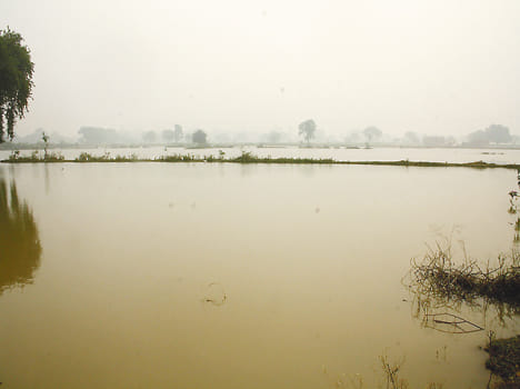 Banded tie broken canal, 1,000 acres of crop steeped