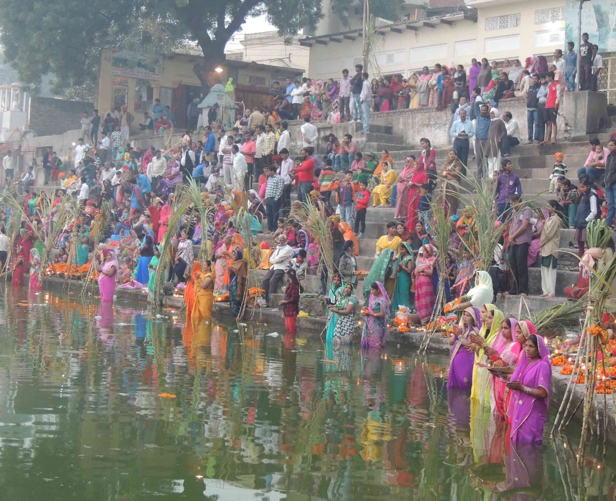Suruj be overrun hear La Arjia our dev ...