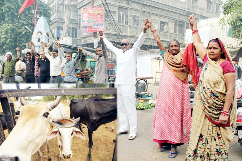 cowshed committee charged with corruption