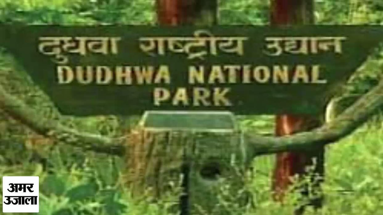 Electric trains clear on Dudhwa route, poles will be erected in ten km forest area, wires will be pulled