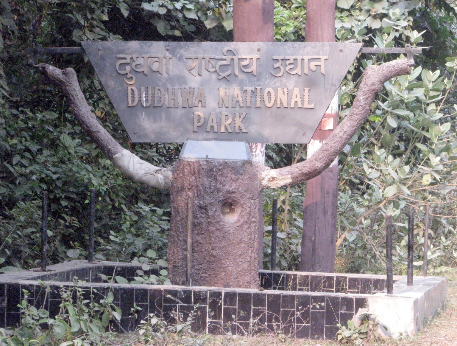 International bloggers will promote Dudhwa Park to the world