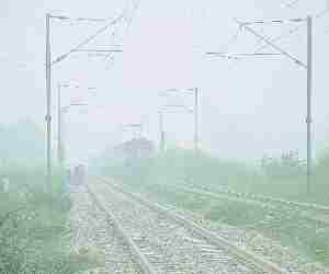 SMOG deadly for crops