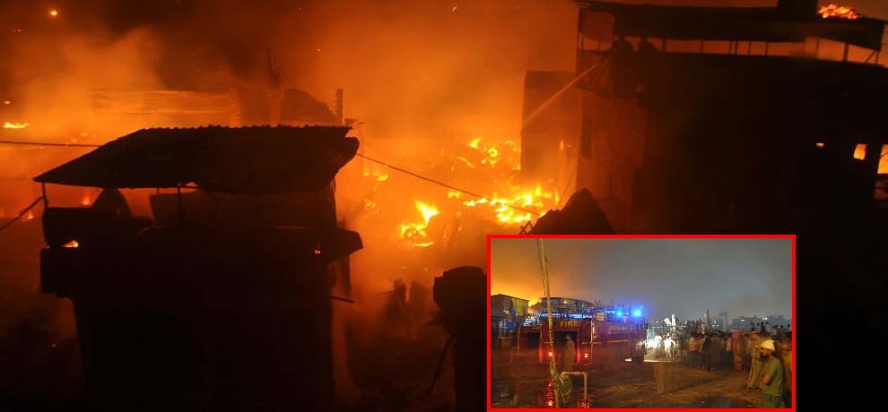 five cattle died in fire