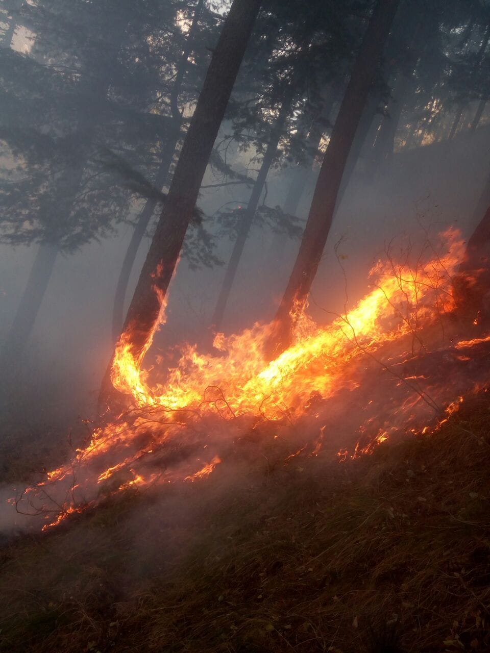 fire in chamba 