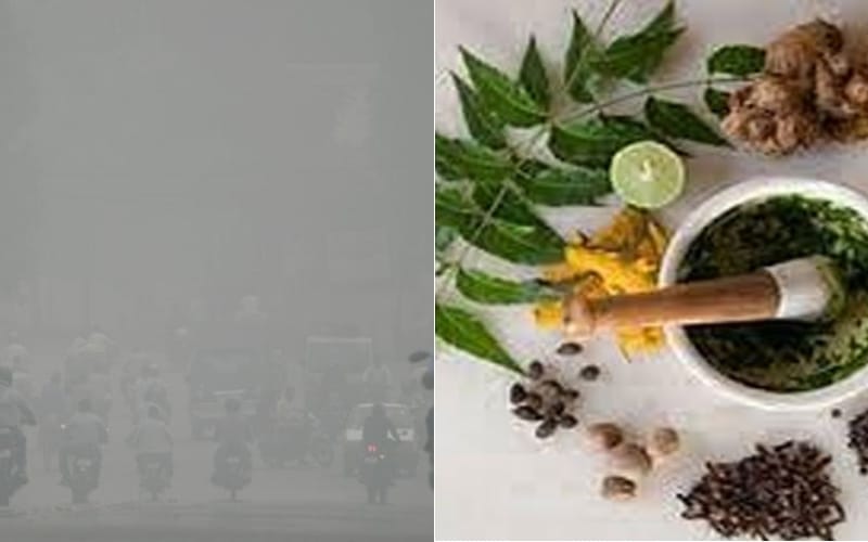 precautions to reduce effect of smog 