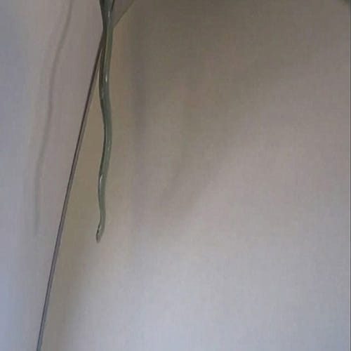 Plane makes emergency landing after snake found