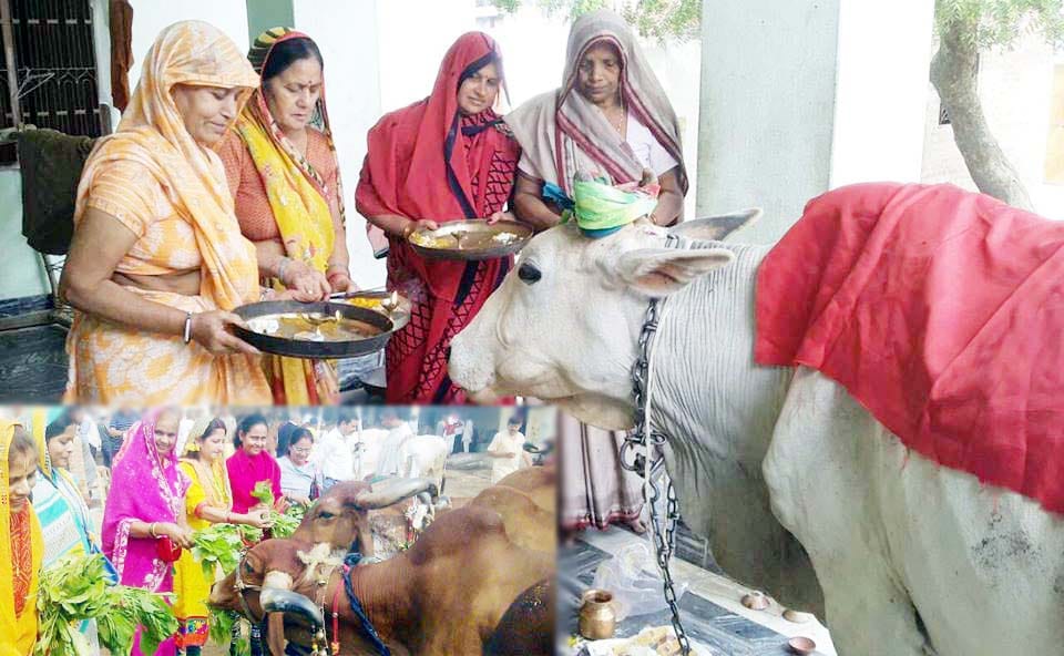 cow serving become virtue liable
