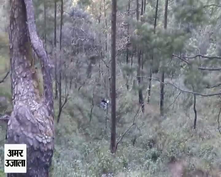 नैनीताल हादसा