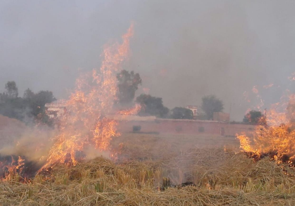 Farms were scorching Puwal The fire officer unfazed