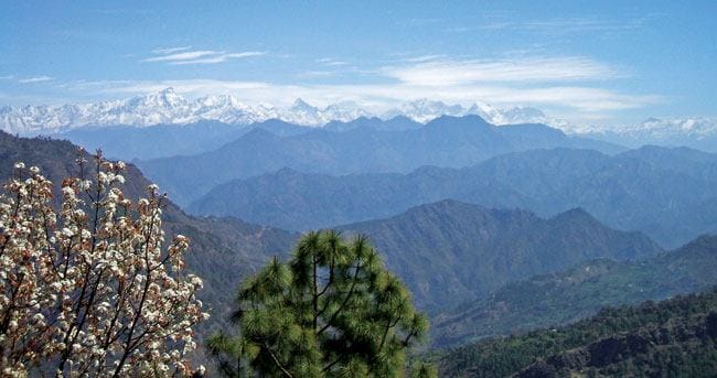 himalaya view from abbott mount champawat