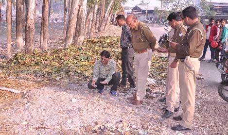 Became a sensation in two bags clipping notes