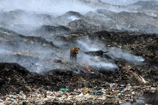 garbage is burnt action
