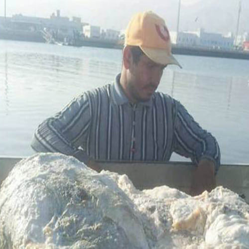 Fishermen Finding 80 Kg Of Whale Vomit