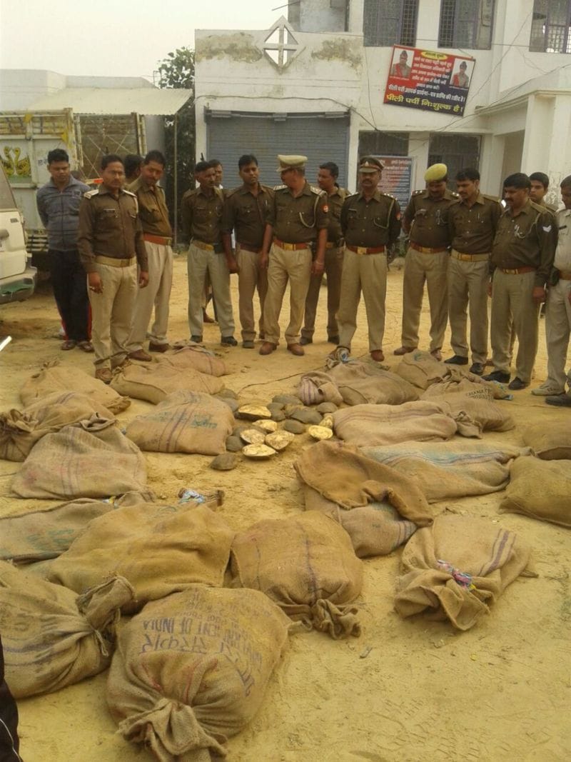 Gihar colony raid, seized 705 turtles