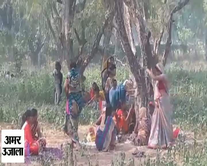 आंवला अक्षय नवमी