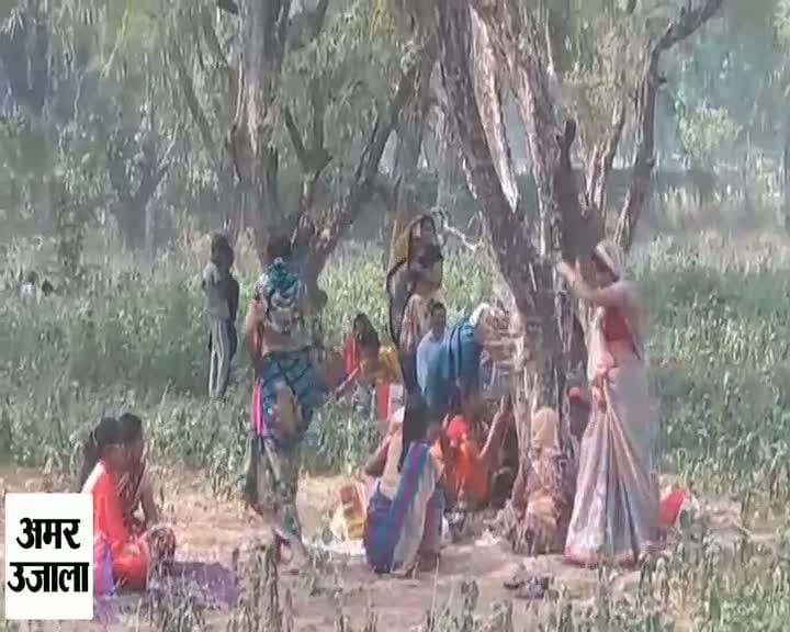 आंवला अक्षय नवमी