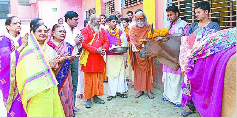 Gopashtmi cow worship