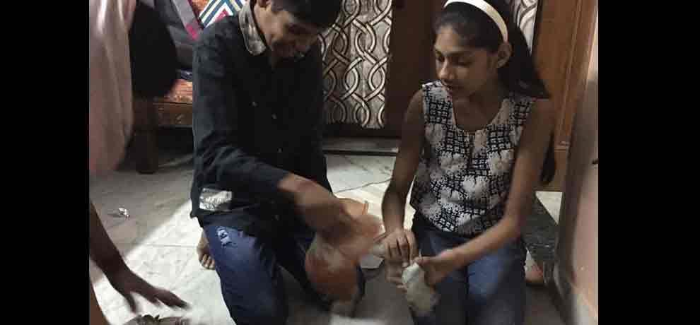 Side effects of discontinuing of 500 and 1000 notes, piggy banks are becoming boon for families