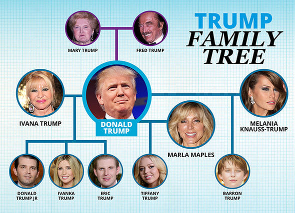 Who is Donald Trump?