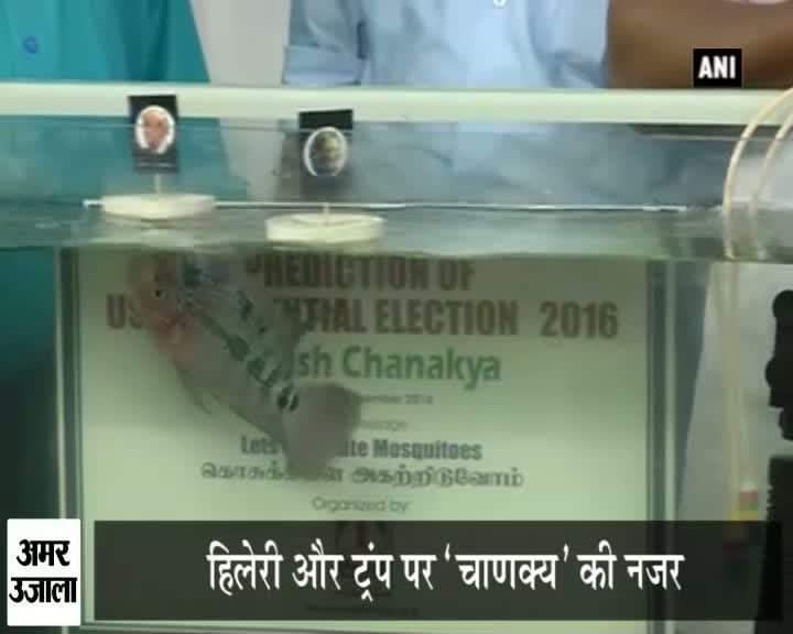 अमेरिकी चुनाव