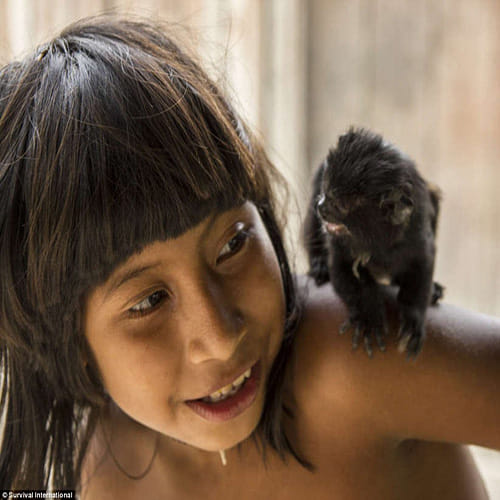 amazon tribe women breastfeed animals