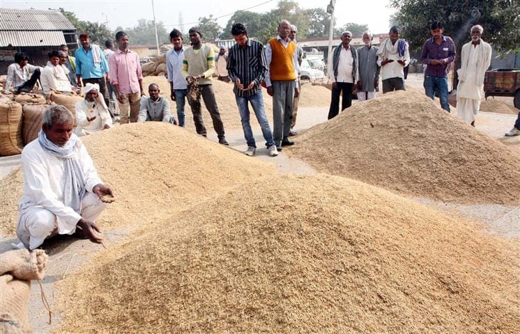 ration,kerosine, gurugram, fir case