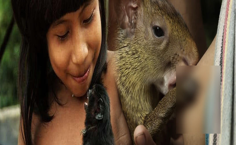 amazon tribe women breastfeed animals