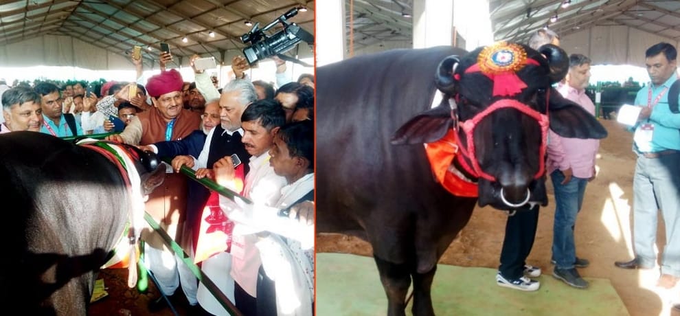 9 million 'Yuvraj' became hero, two and a half million children with alarming dose