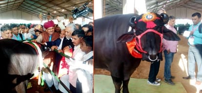 Karnataka assembly passes bill to allow Kambala
