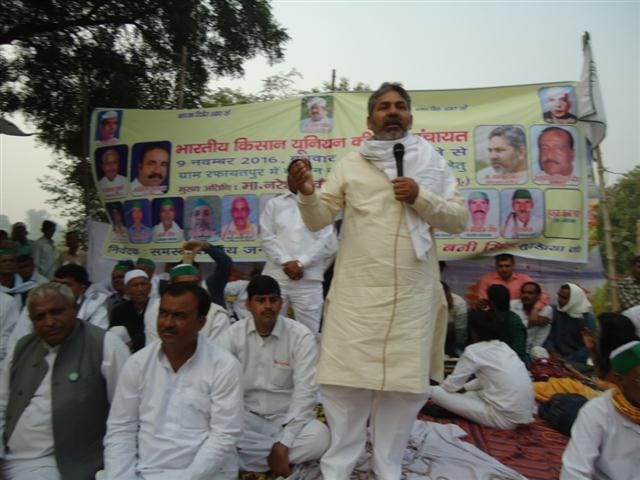 BT will not be sold in the state mustard seed
